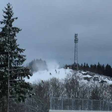 Rad-ski 아파트 빈터베르크