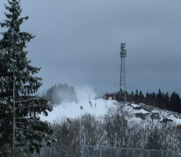 Rad-ski Lejlighed Winterberg